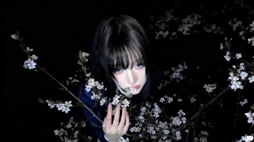 蓝色眼睛少女夜晚花树暗黑背景壁纸