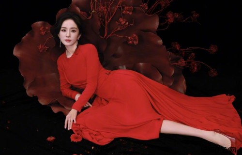 杨幂 红色裙子 花朵 4K美女壁纸 3840x2560