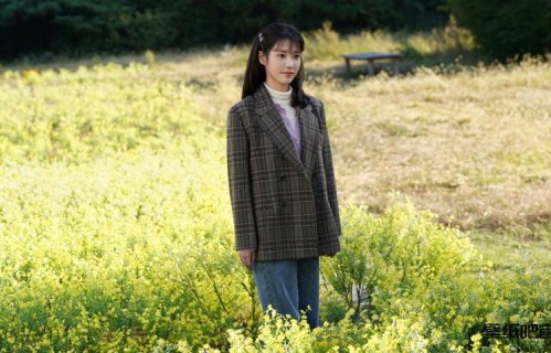 花海美女李知恩4k壁纸3840x2160