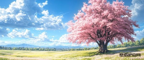樱花树风景带鱼屏壁纸3440x1440