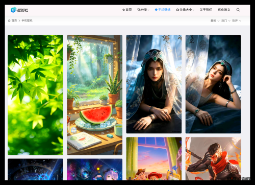 免费 4K 壁纸网站 bizhib 怎么用？超详细下载步骤一看就会