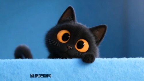 可爱小黑猫4K壁纸