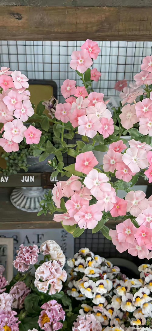 角落鲜花壁纸