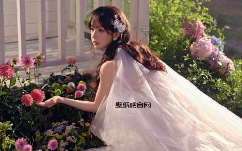 美女鲜花田曦薇4K高清壁纸3840x2400