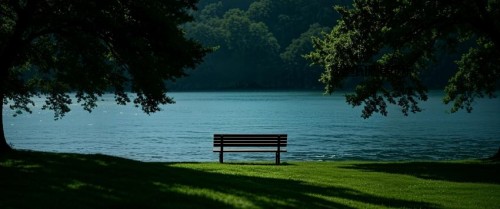 树林 绿草地 长椅子 河流 4K带鱼屏壁纸3440x1440
