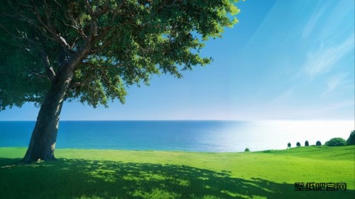海边的夏树4K风景壁纸 3840x2160