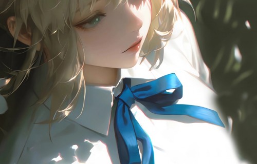 saber蓝蝴蝶结白衬衫 花海 4k手机壁纸竖屏动漫